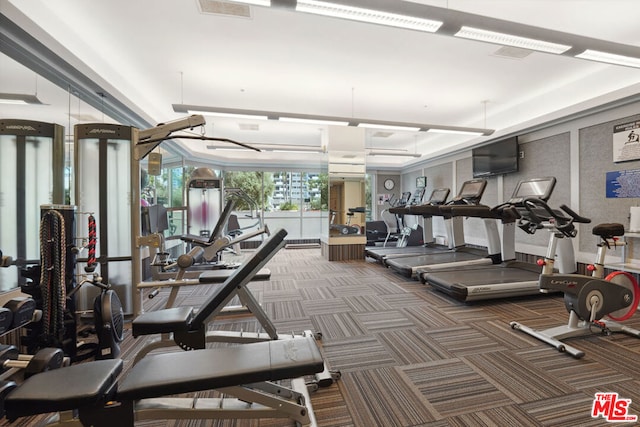 workout area with carpet flooring