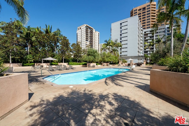 view of pool featuring a patio area