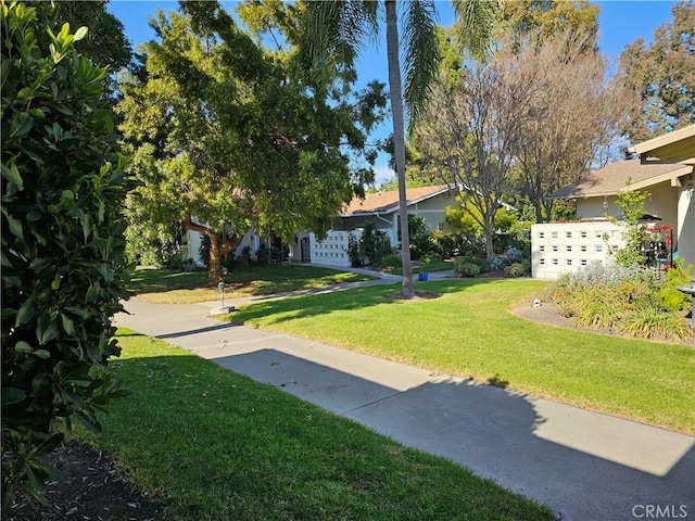 view of community with a yard