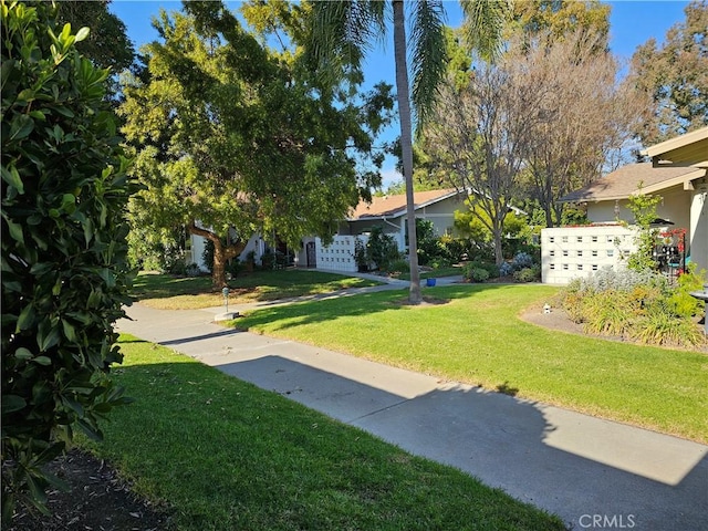 716 Avenida Majorca Unit C, Laguna Woods, CA 92637 - view of green lawn