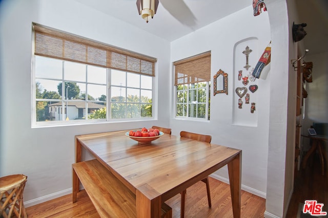 dining room with ceiling fan and light wood-type flooring