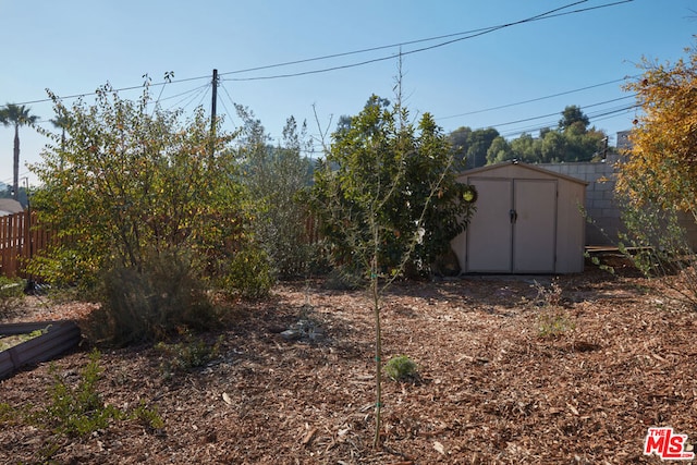 view of yard with a shed