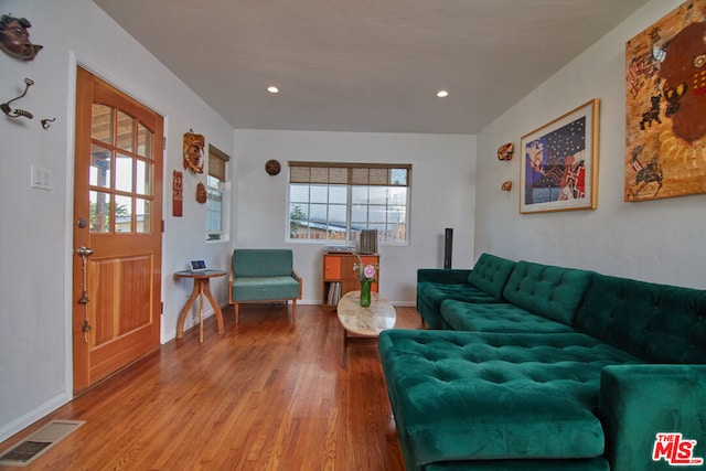 living room featuring wood-type flooring