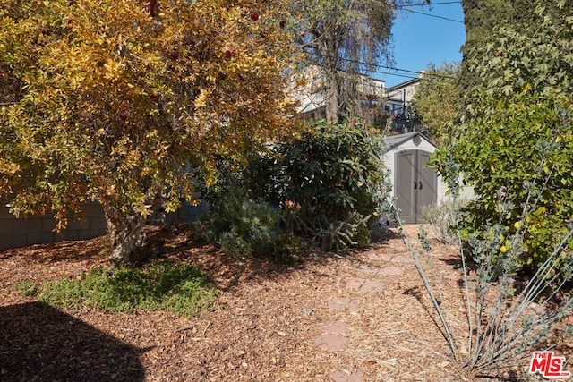 view of yard with a shed