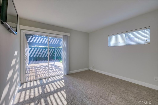 empty room featuring carpet floors