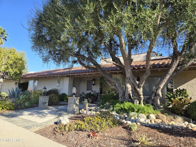 view of front of house with a patio area