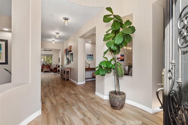 foyer with light hardwood / wood-style flooring