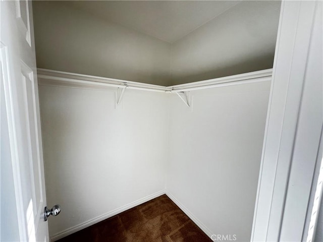 walk in closet with carpet flooring