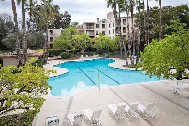 view of swimming pool with a patio area