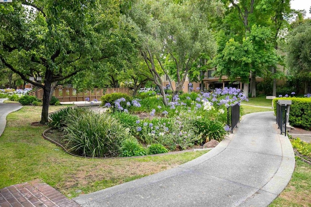 view of community featuring a yard