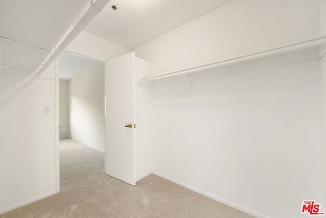 spacious closet with light colored carpet