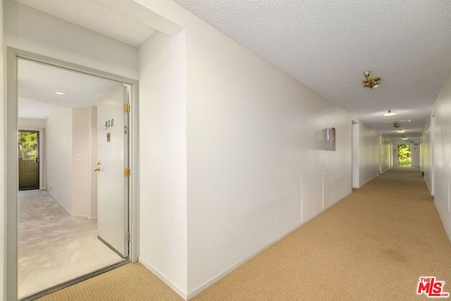 corridor with a wealth of natural light, light carpet, and a textured ceiling