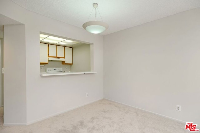 spare room featuring a textured ceiling and light colored carpet