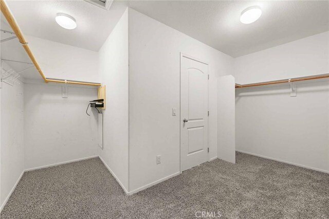 walk in closet featuring carpet floors