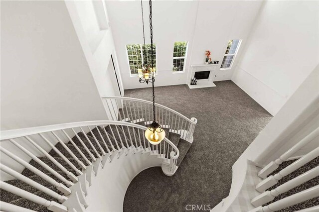 stairway with carpet flooring