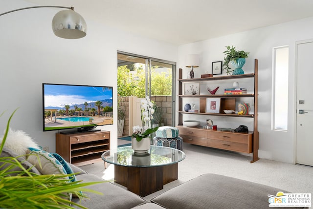 view of carpeted living room