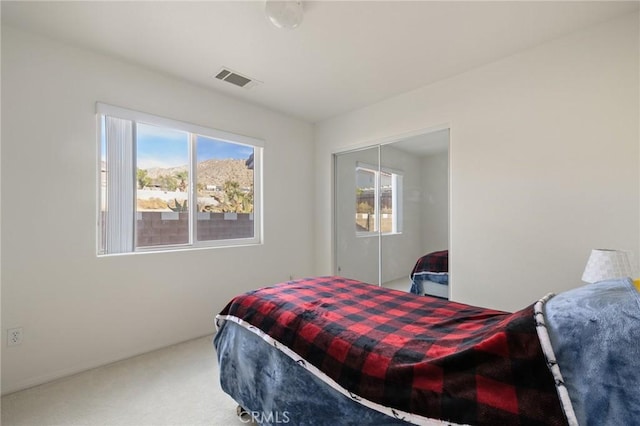 9551 San Rafael Dr, Desert Hot Springs, CA 92240 - carpeted bedroom featuring a closet