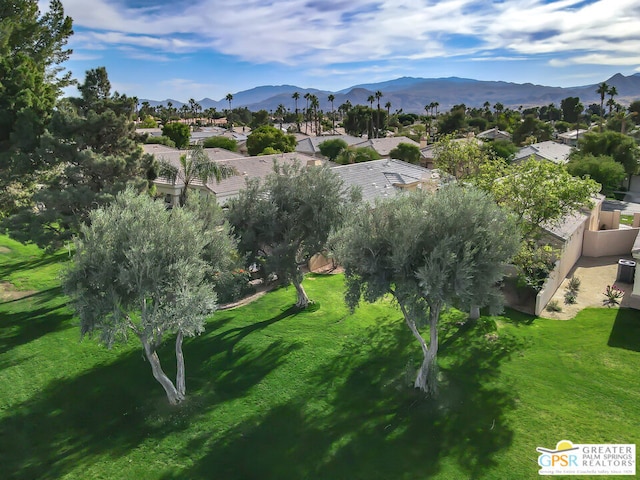 drone / aerial view featuring a mountain view