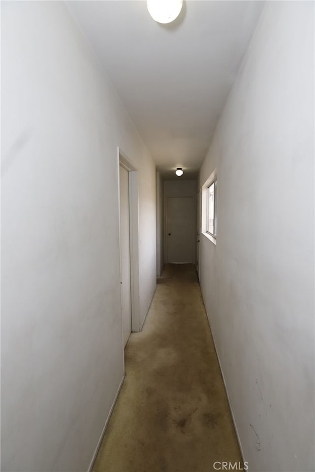 hall featuring light colored carpet