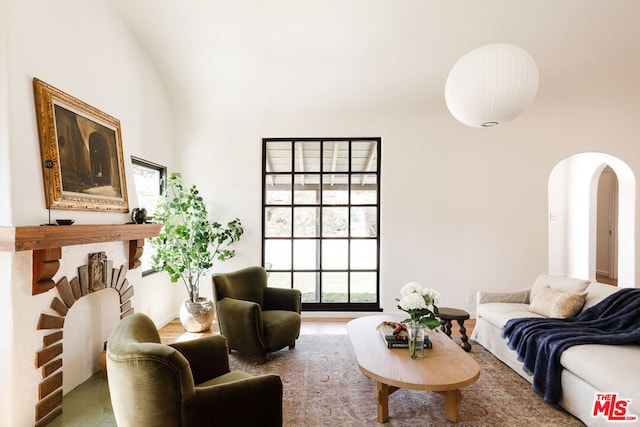 living room featuring lofted ceiling