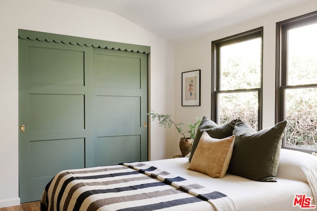 bedroom with hardwood / wood-style floors and lofted ceiling