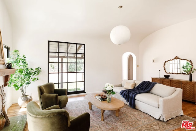 living room featuring hardwood / wood-style floors