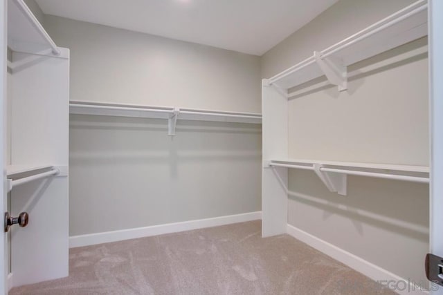 spacious closet with light colored carpet