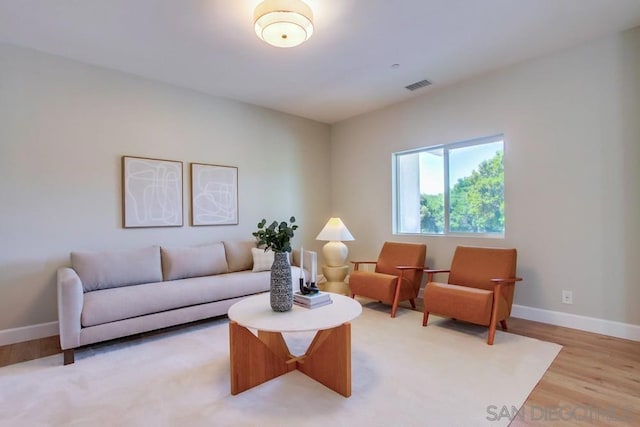 living room featuring wood-type flooring