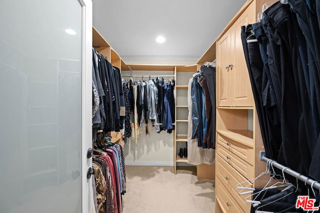 spacious closet with carpet flooring