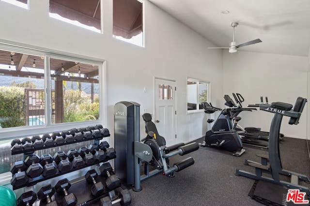 workout area featuring plenty of natural light, ceiling fan, and high vaulted ceiling