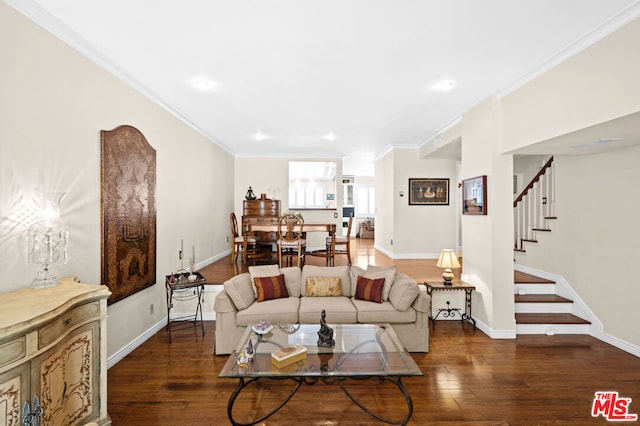 living room featuring crown molding and dark wood-type flooring