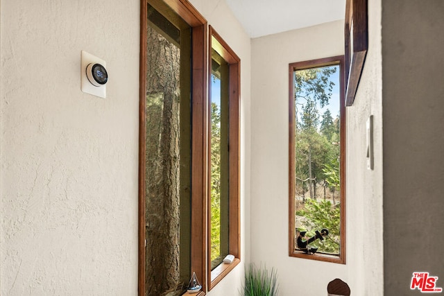 entryway with a wealth of natural light