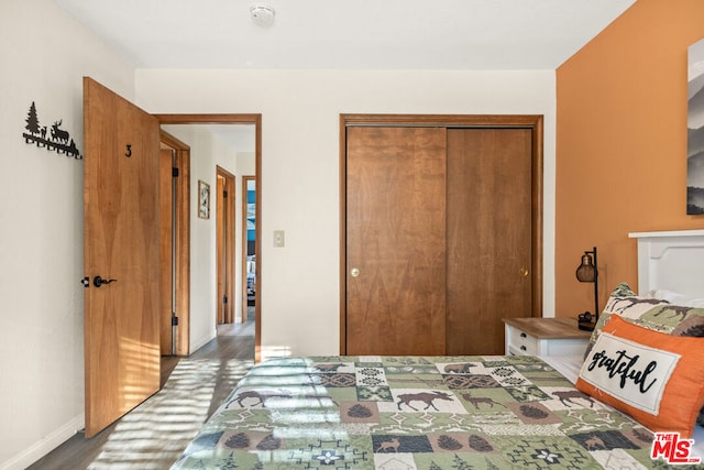 bedroom featuring a closet and wood-type flooring