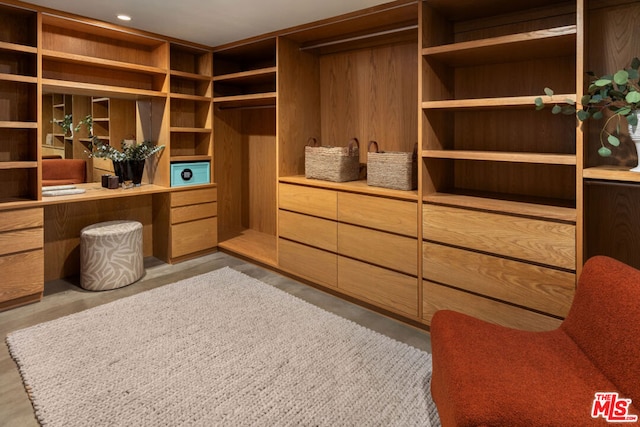 spacious closet with light hardwood / wood-style floors