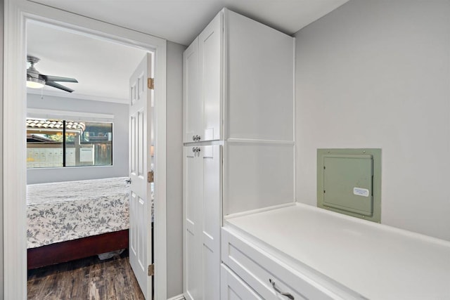 laundry room with ceiling fan and dark hardwood / wood-style flooring