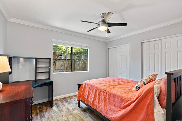 bedroom with multiple closets, dark hardwood / wood-style flooring, ceiling fan, and crown molding