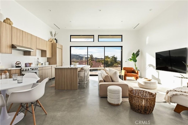 living room featuring sink and a high ceiling