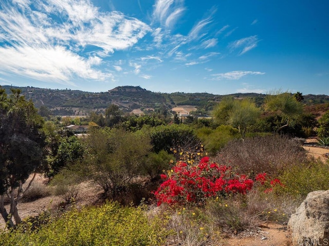 property view of mountains