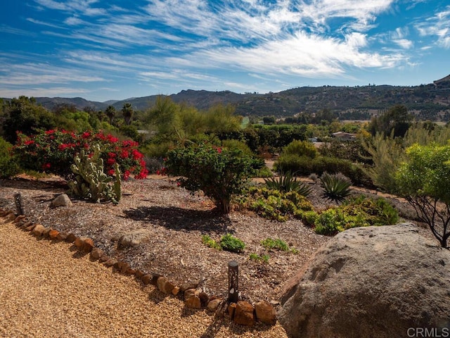 31340 Cottontail Ln, Bonsall, CA 92003 - view of mountain backdrop