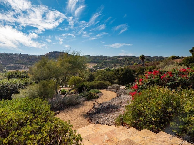 31340 Cottontail Ln, Bonsall, CA 92003 - view of mountain background