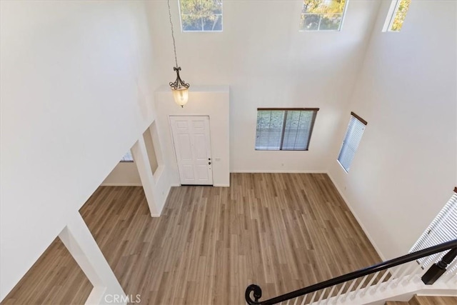 foyer featuring a towering ceiling and wood-type flooring