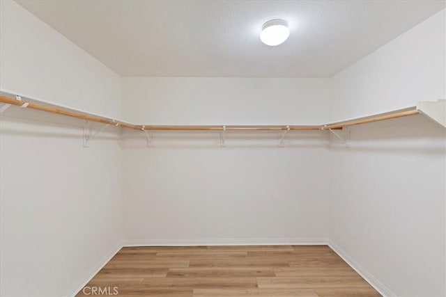 spacious closet featuring light wood-type flooring