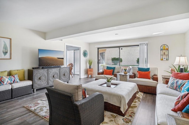 living room with hardwood / wood-style floors