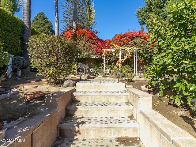 view of yard featuring a patio