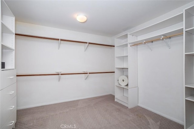 walk in closet featuring light colored carpet