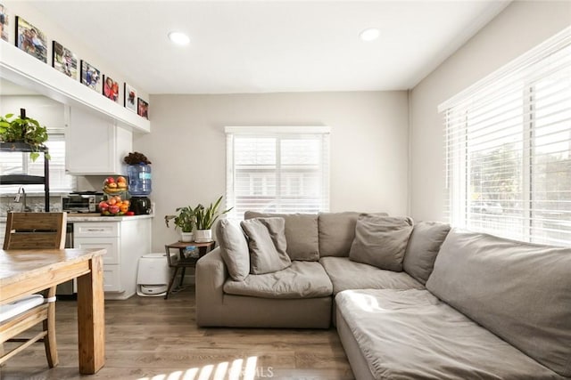 living room featuring hardwood / wood-style floors and a wealth of natural light