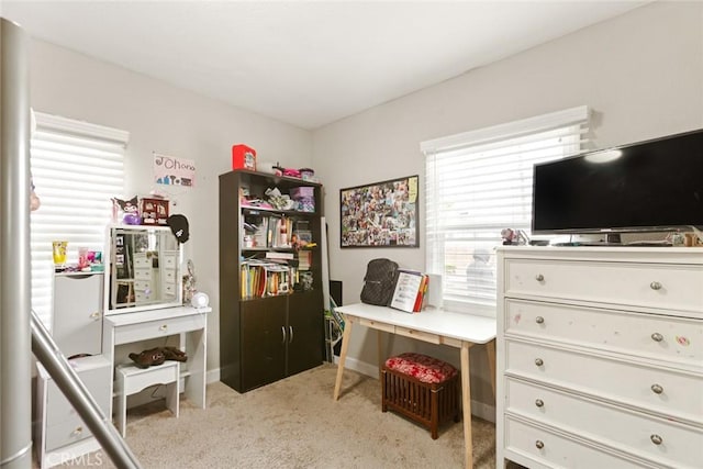 miscellaneous room with light colored carpet