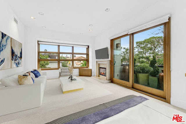 living room with carpet flooring