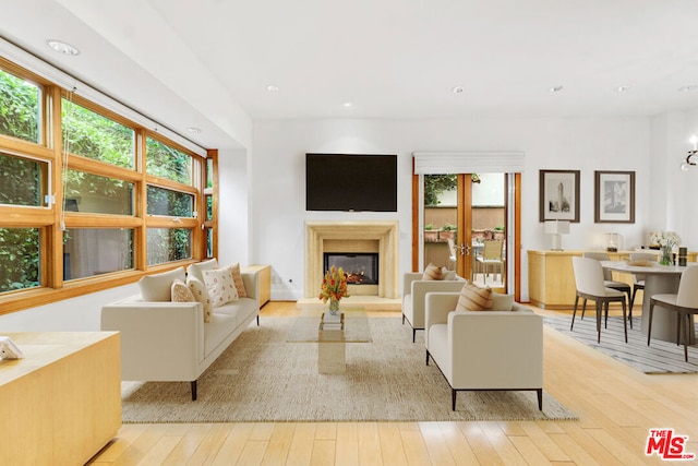 living room with light wood-type flooring