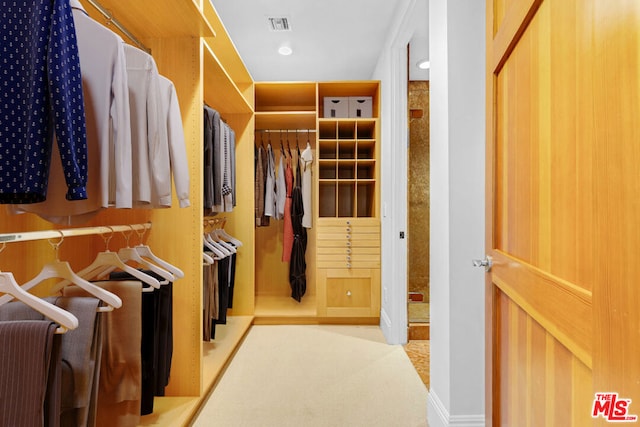 spacious closet with light carpet